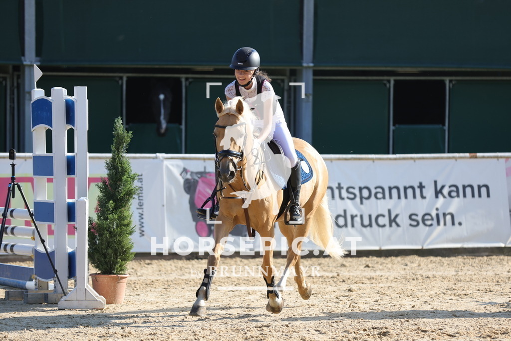 0P6A4314 | Willkommen bei Brunnmayr - Design & Fotografie – Ihrem Spezialisten für Reitturniere und Pferdeveranstaltungen in Oberösterreich, Salzburg und Bayern! Seit über 17 Jahren sind wir leidenschaftlich dabei.