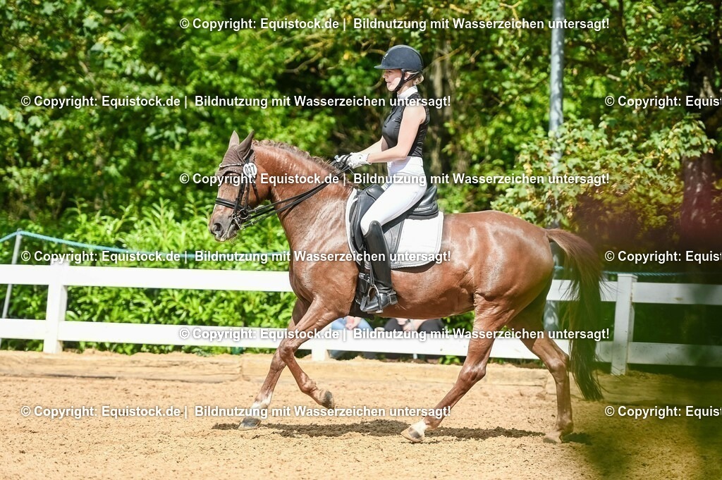 20230716_01_Dressurprüfung Kl.M_0336 | equistock
