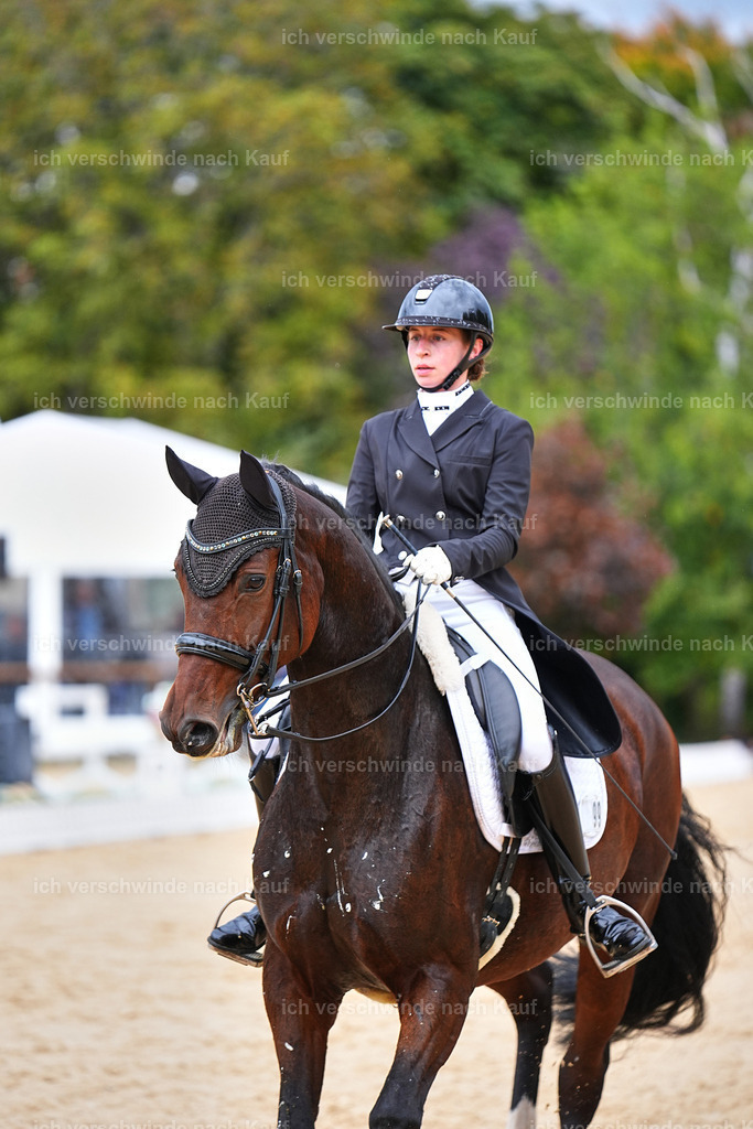 8_1-099-Klasse S_  -Marixx-4180 | working equitationturnier fotograf videograf stoibphotography marixx film working equitation deutschland reitsport turnierfotografie eventfotografie equestrian events