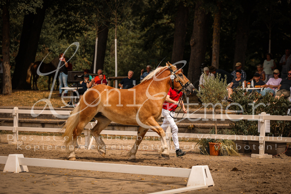 3.Sa00050 | Leoni Ertmer Photography - Realisiert mit Pictrs.com