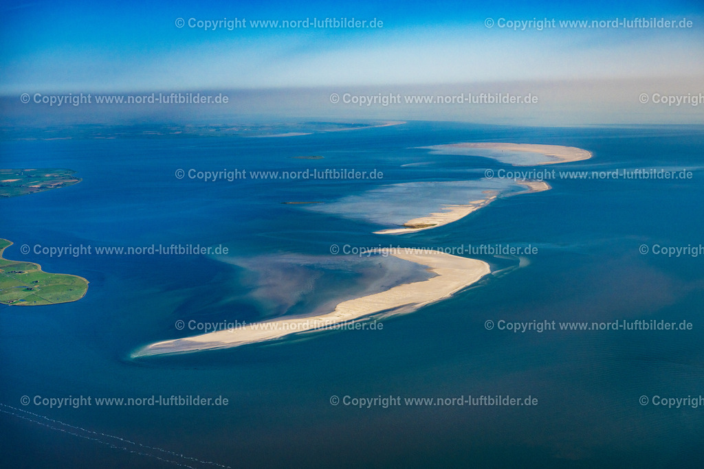 Japsand_Süderoogsand_Norderoogsand_ELS_0652130825 | PELLWORM 13.08.2025 Sandbänke Japsand, Norderoogsand und Süderoogsand im Nordsee- Wattenmeer im Bundesland Schleswig-Holstein, Deutschland. // Sandbanks Japsand, Norderoogsand and Suederoogsand in the North Sea Wadden Sea in the state Schleswig-Holstein, Germany. Foto: Martin Elsen