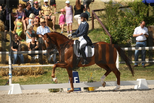 Birkhof_2022_GrandPrixSpecial_Nadine Capellmann_Waitoni (4) | Alle Fotos der Reiterjournal Fotografin Doris Matthaes im Reiterjournal Online-Fotoshop. - Realisiert mit Pictrs.com