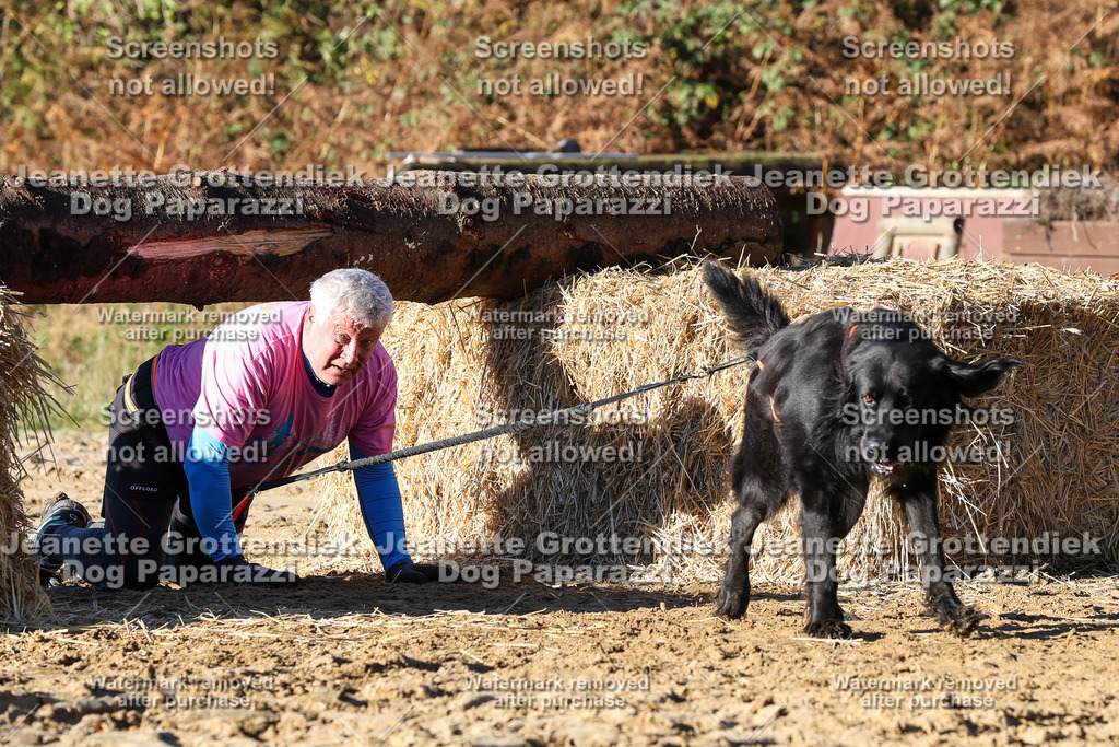 Dog Paparazzi - Strongdog 10-25-1641 | Dog Paparazzi Jeanette Grottendiek Fotografie & Videografie - Realisiert mit Pictrs.com