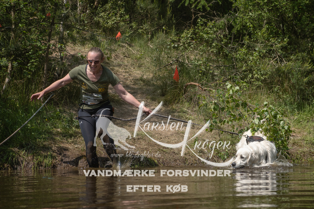 1312DKK993528 | kk-dogfotos