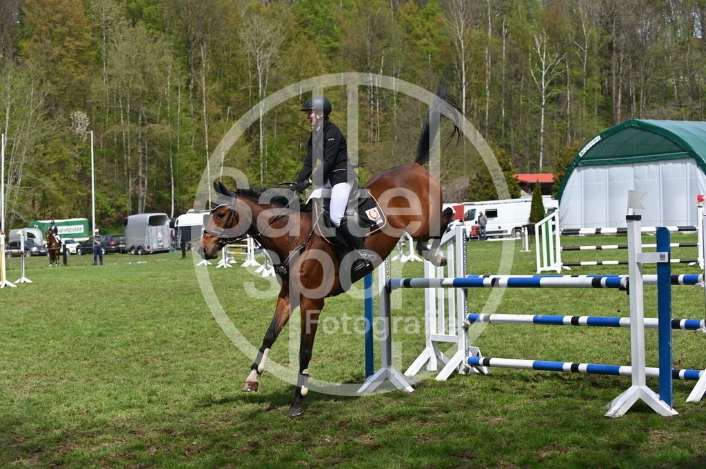 DSC_2734 | sattelsport - Realisiert mit Pictrs.com