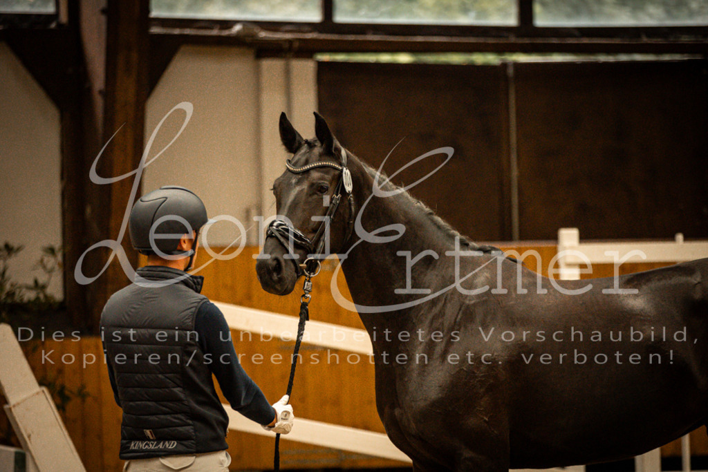 1FS_L00107 | Leoni Ertmer Photography - Realisiert mit Pictrs.com