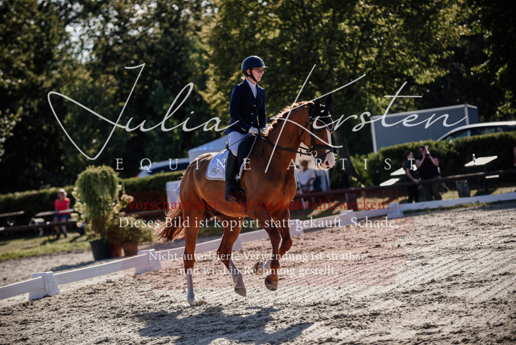 DSC_0481 | Pferde- und Turnierfotografie in Westsachsen. Pferdeportraits, Auftragszeichnungen und intuitive Kunst.