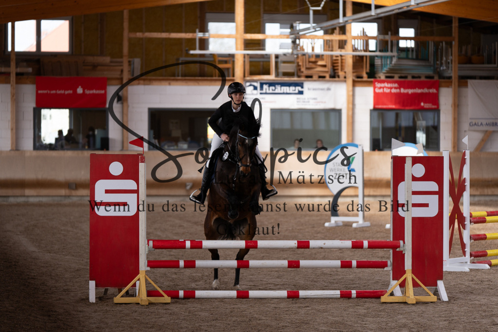 A7507367 | Pferdefotograf