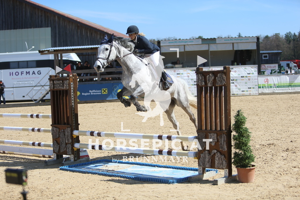 DL2Q0228 | Willkommen bei Brunnmayr - Design & Fotografie – Ihrem Spezialisten für Reitturniere und Pferdeveranstaltungen in Oberösterreich, Salzburg und Bayern! Seit über 17 Jahren sind wir leidenschaftlich dabei.