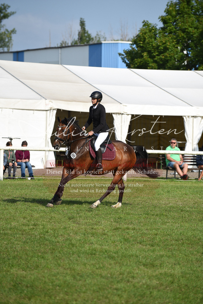 DSC_8693 | Pferde- und Turnierfotografie in Westsachsen. Pferdeportraits, Auftragszeichnungen und intuitive Kunst.