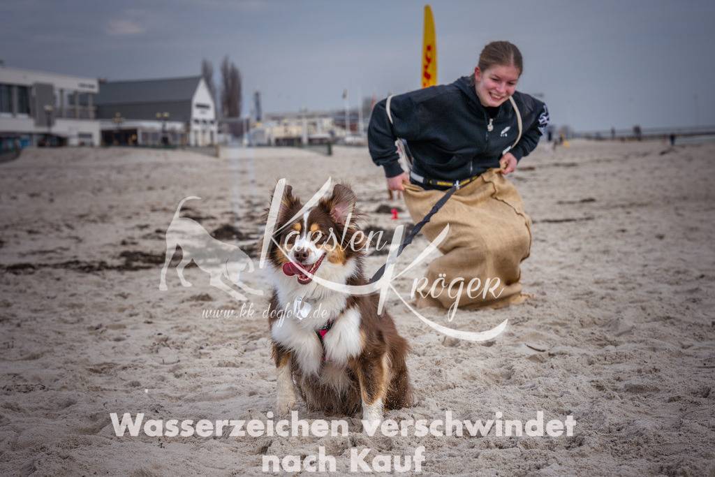 1301_ZZ97800 | kk-dogfotos