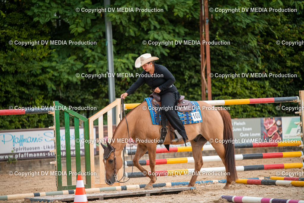 ZS2_7427 | dv-media-shop - Realisiert mit Pictrs.com