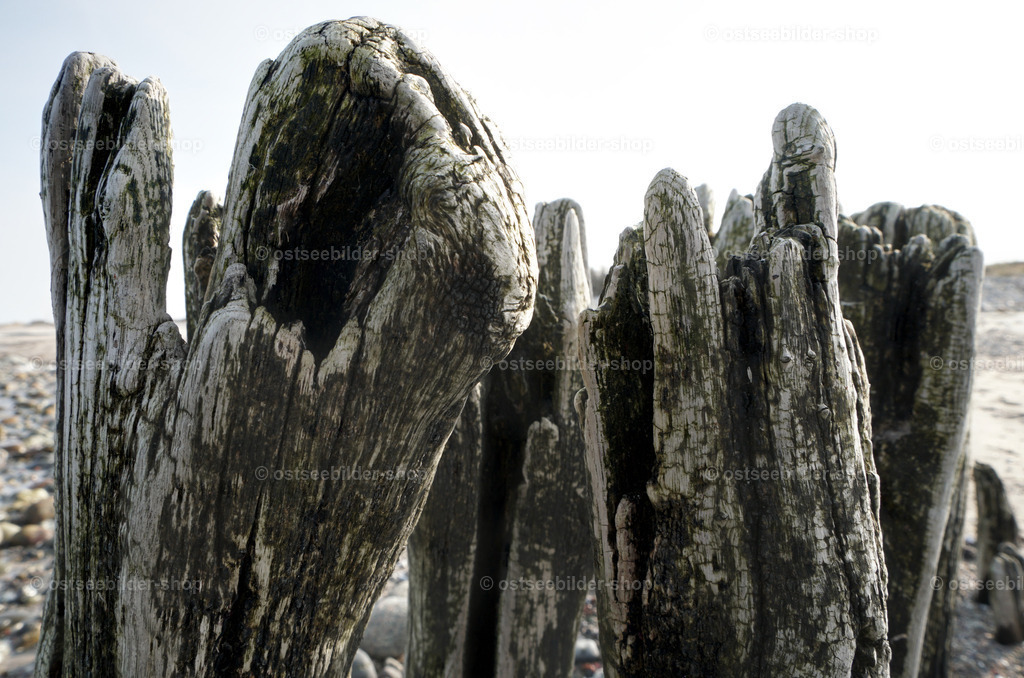 Der Zahn der Zeit im Detail | Spuren von Wind und Wetter an Köpfen der alten Holzgestalten am Strand.