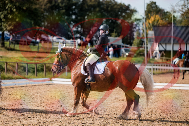 2026_10_03_Siefer-Hof_130515_Z63_68649064 | Professionelle Reitsport-, Turnier- und Eventfotografie von Robert Broda. Galerien mit ausgewählten und bearbeiteten Bildern direkt online ansehen und bestellen.