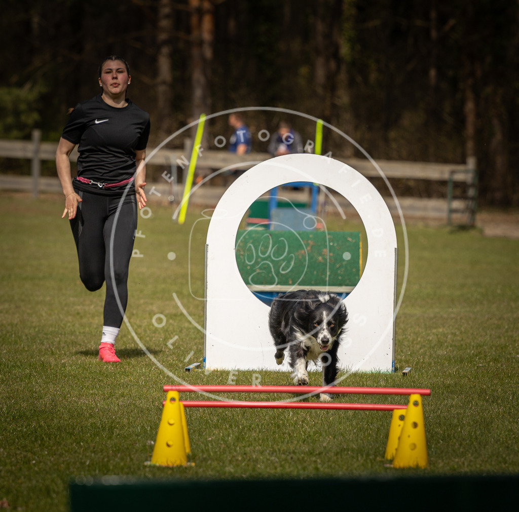 Pfotenfotografie_DV3A5986 | Hundefotografie, Tierfotograf, Pfotenfotografie, Fotoshooting Hund, Hunde Portrait, Hundesport, Hundeportraits, Heideshooting, Hunde, Sportfotograf, Hundefotograf, Turnierhundsport, THS,  - Realisiert mit Pictrs.com