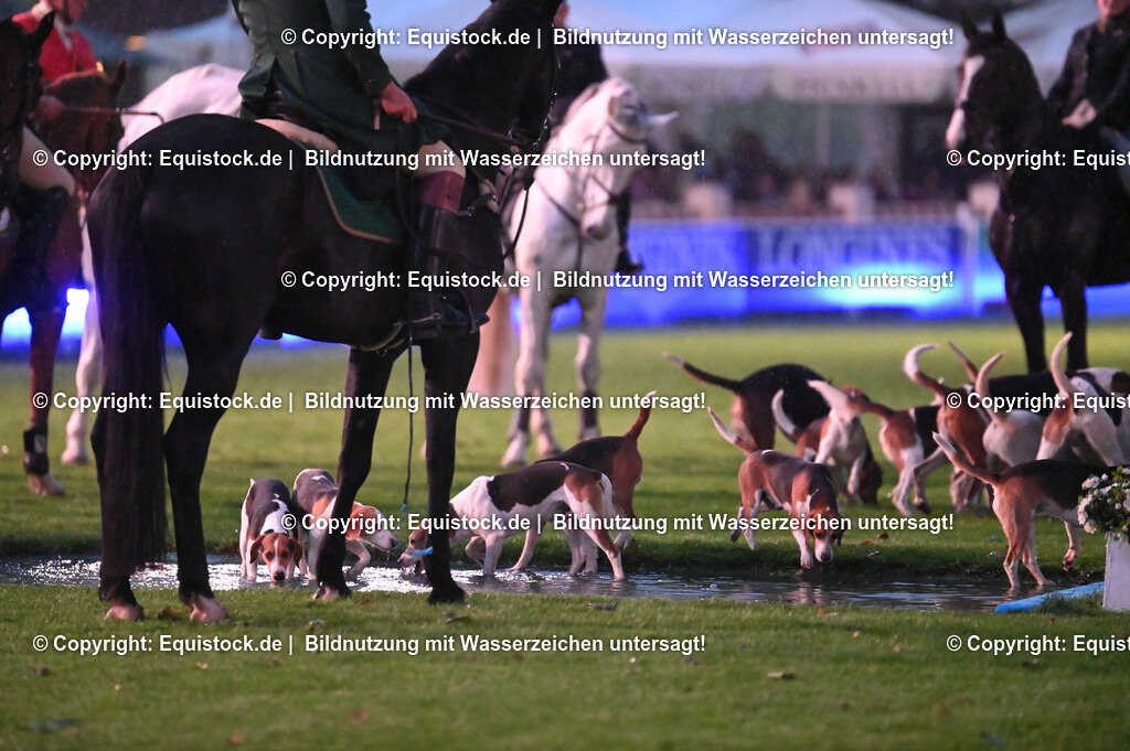 20240517_Lange-Pferdenacht_0498 | Foto: Thomas Hartig