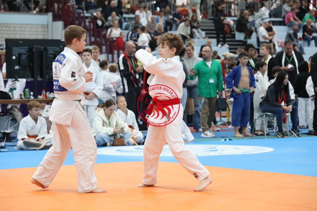 1J7A2910 | Fotos vom Adler Cup - Pictures from Adler Cup

Hier findet Ihr alle Eindrücke und großen Momente der Adler Cup Wochenenden. Here you will find all impressions and great moments of the Adler Cup weekends. - Realisiert mit Pictrs.com