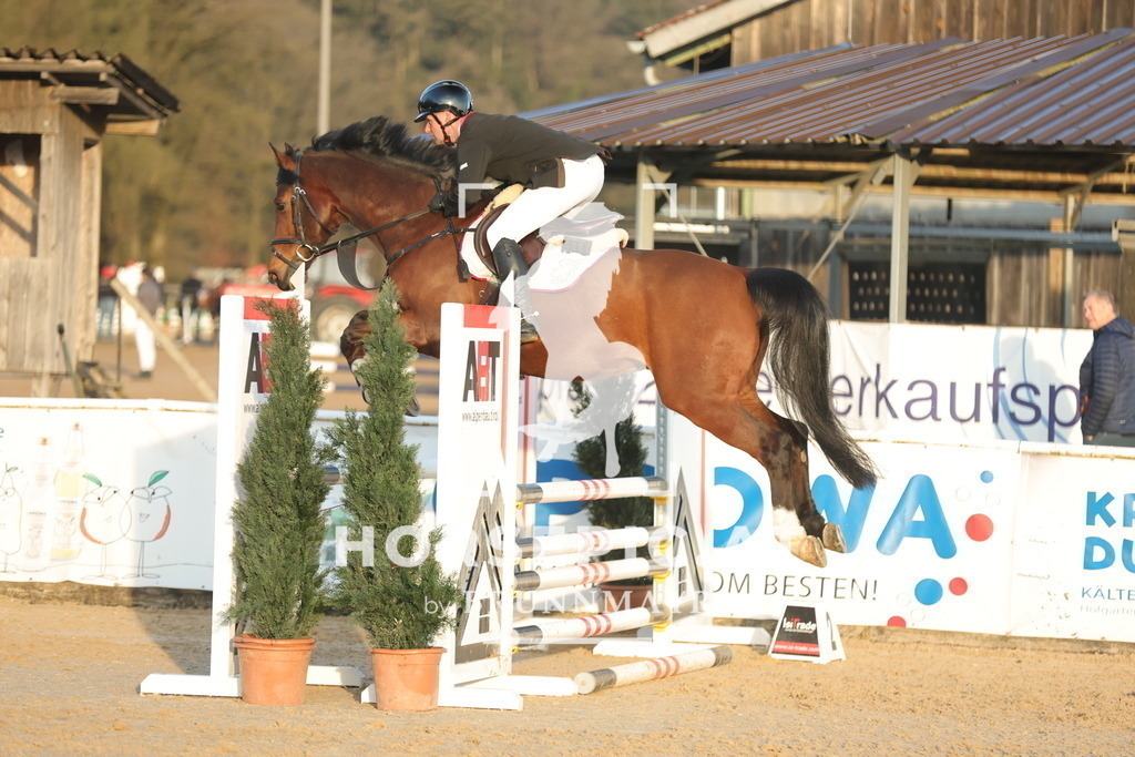 0P6A3413 | Willkommen bei Brunnmayr - Design & Fotografie – Ihrem Spezialisten für Reitturniere und Pferdeveranstaltungen in Oberösterreich, Salzburg und Bayern! Seit über 17 Jahren sind wir leidenschaftlich dabei.
