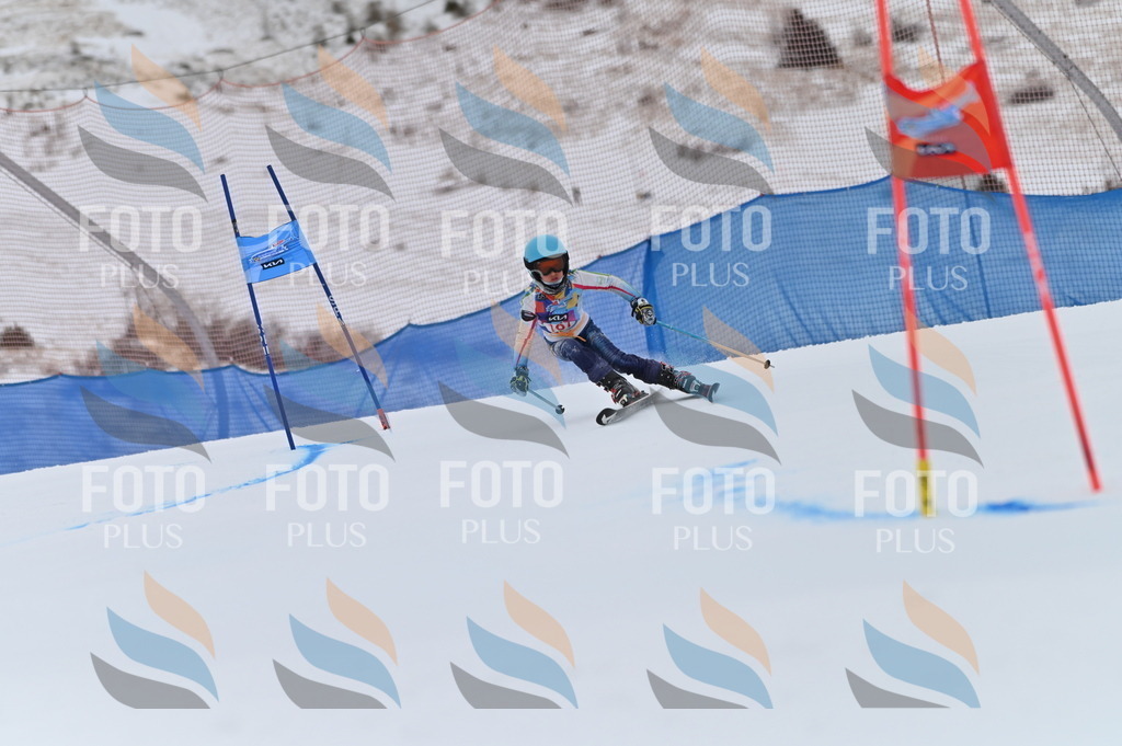 BGV_0427 | holidayphoto