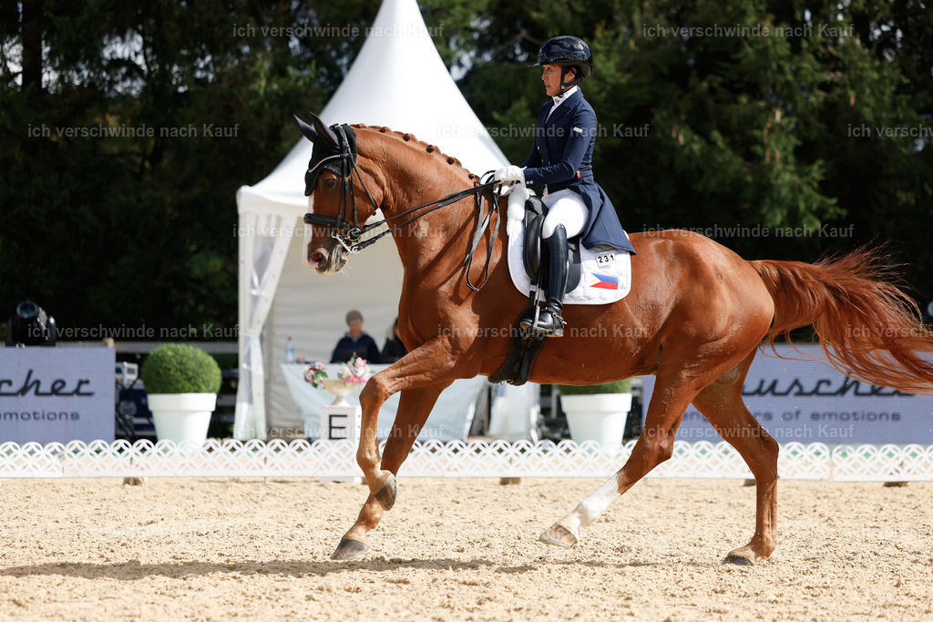09_2-231-DRESSUR  S_  -StoibPH-5925 | working equitationturnier fotograf videograf stoibphotography marixx film working equitation deutschland reitsport turnierfotografie eventfotografie equestrian events