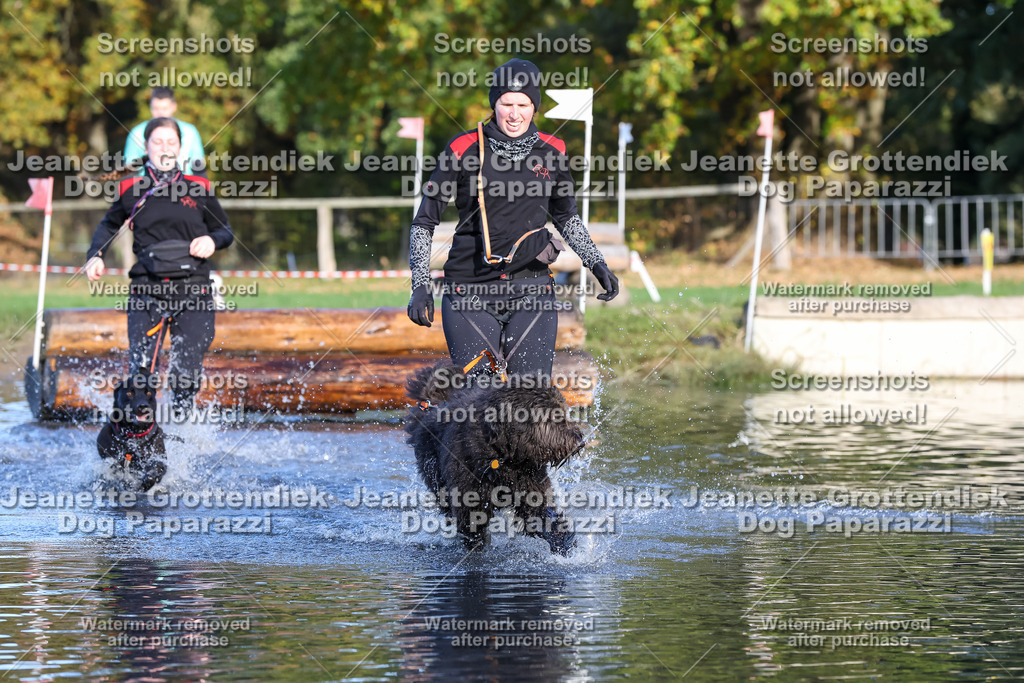 Dog Paparazzi - Strongdog 10-25-8621 | Dog Paparazzi Jeanette Grottendiek Fotografie & Videografie - Realisiert mit Pictrs.com