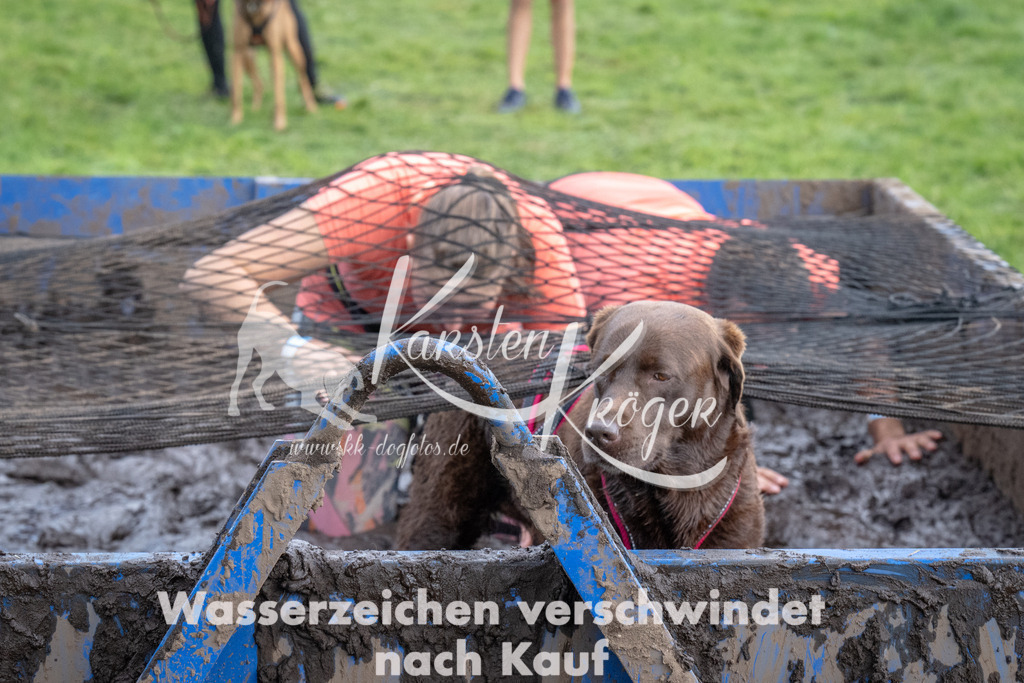 1430_ZZ92533 | kk-dogfotos