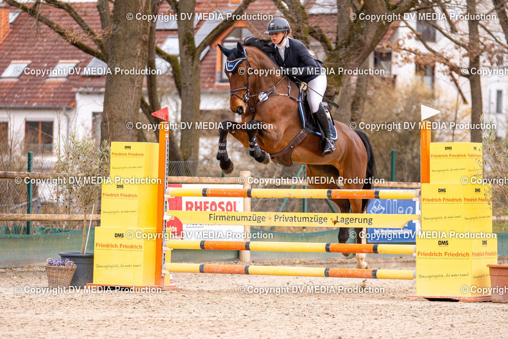 Kranichstein Tag 2-291 | dv-media-shop - Realisiert mit Pictrs.com