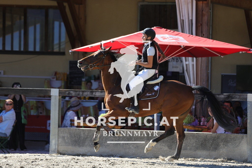 0P6A7309 | Willkommen bei Brunnmayr - Design & Fotografie – Ihrem Spezialisten für Reitturniere und Pferdeveranstaltungen in Oberösterreich, Salzburg und Bayern! Seit über 17 Jahren sind wir leidenschaftlich dabei.