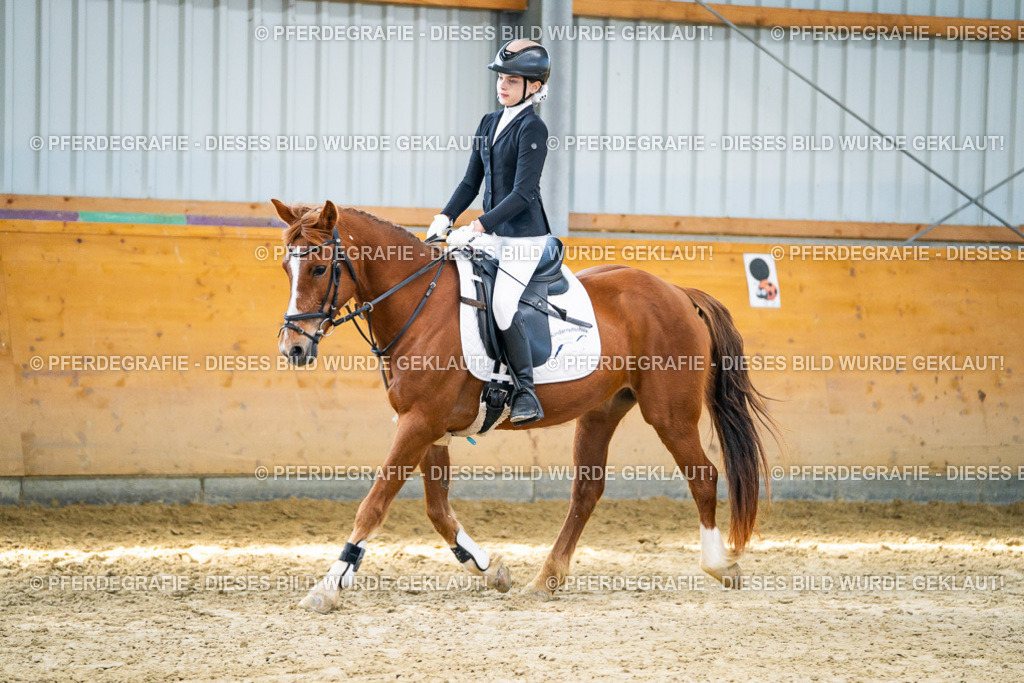 DSC01679 | Pferdegrafie