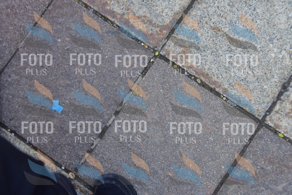 _DSC1814 | holidayphoto