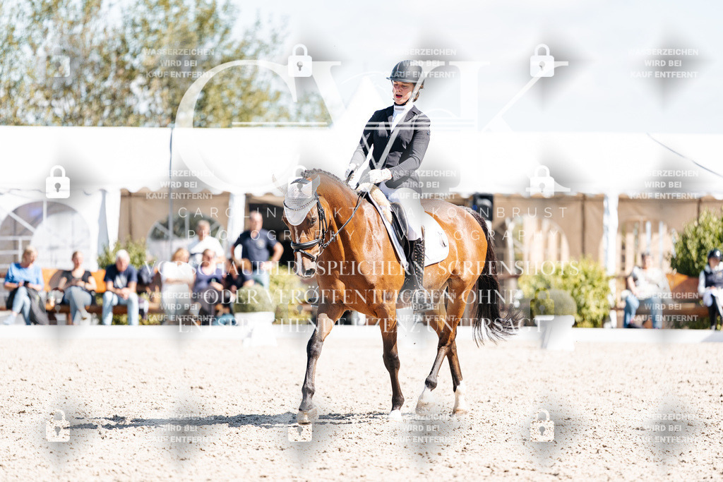 CK903663 | Turnierfotografie Pferdefotografie Trier Rheinland-Pfalz Pferdesport Reitsport Tierfotografie Sportfotografie Pferdevideo Pferdevideografie Equestrianvideography equestrianphotography  - Realisiert mit Pictrs.com