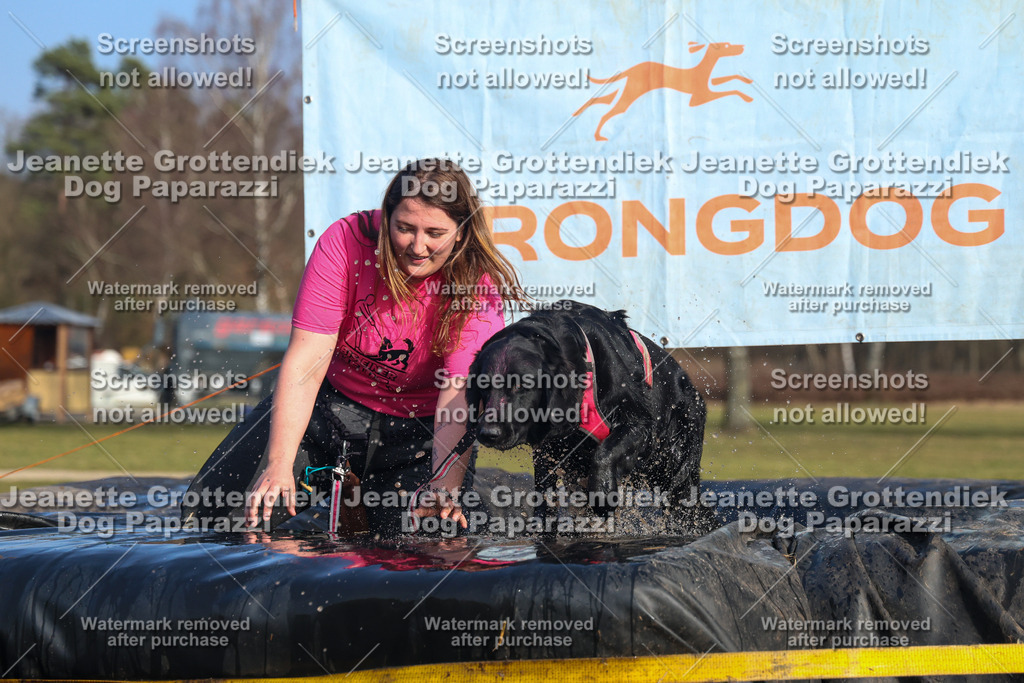 Dog Paparazzi - Strongdog North Mrz26-3450 | Dog Paparazzi Jeanette Grottendiek Fotografie & Videografie - Realisiert mit Pictrs.com