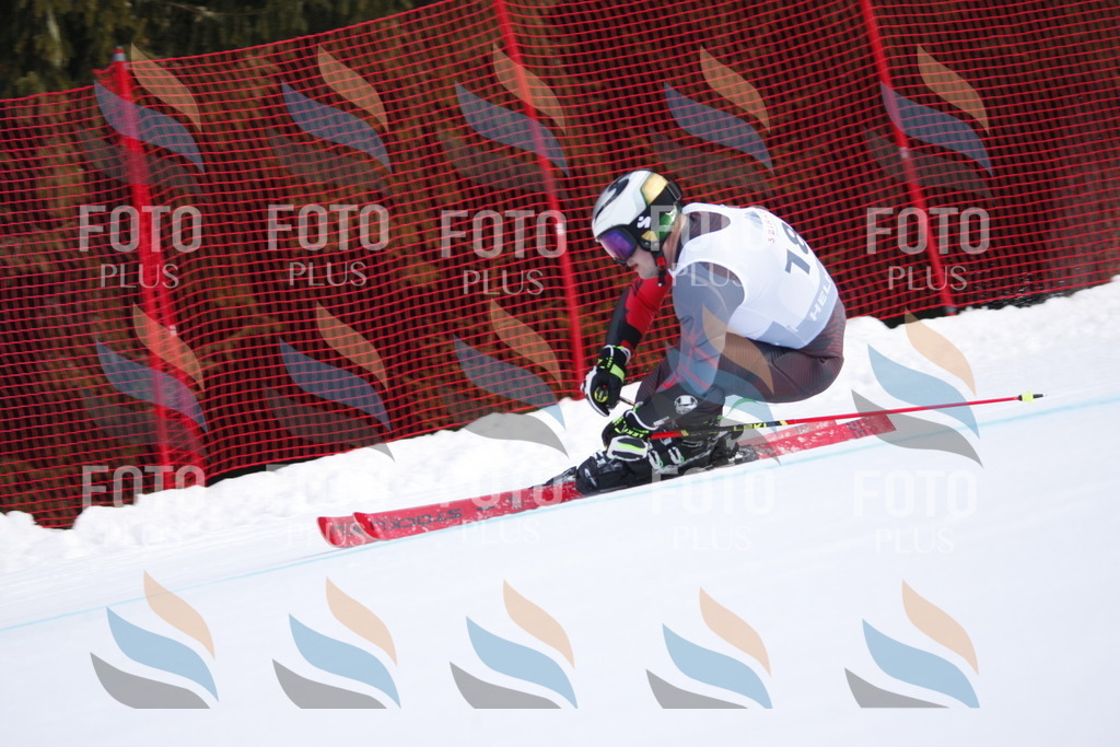 D7815 | holidayphoto