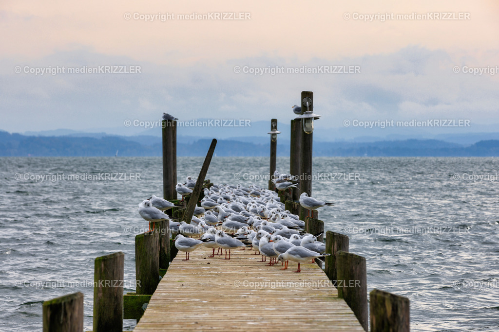 _J3A8668 | medienkrizzler - Realisiert mit Pictrs.com