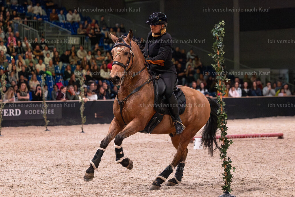 JoseraCup-206 | working equitationturnier fotograf videograf stoibphotography marixx film working equitation deutschland reitsport turnierfotografie eventfotografie equestrian events