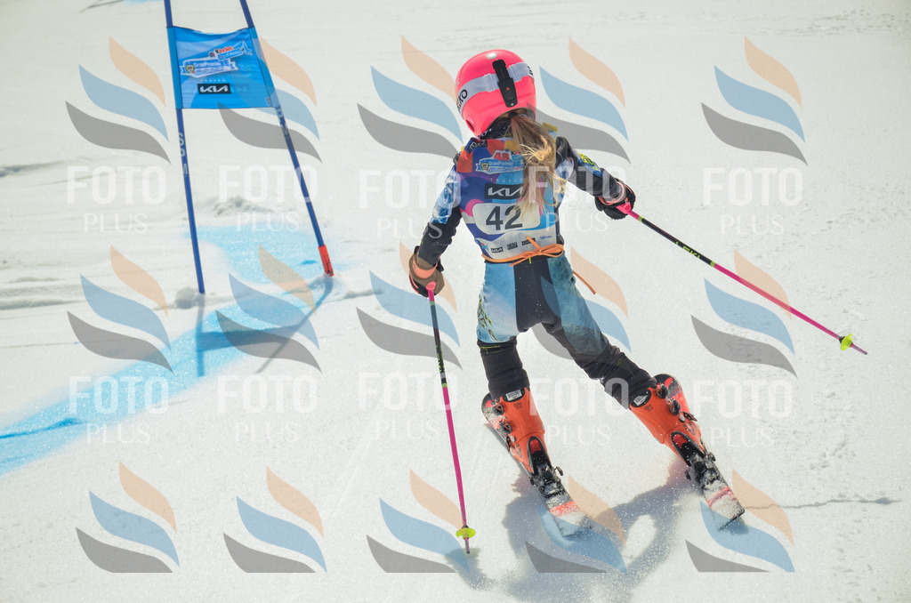 _ELE5067 | holidayphoto