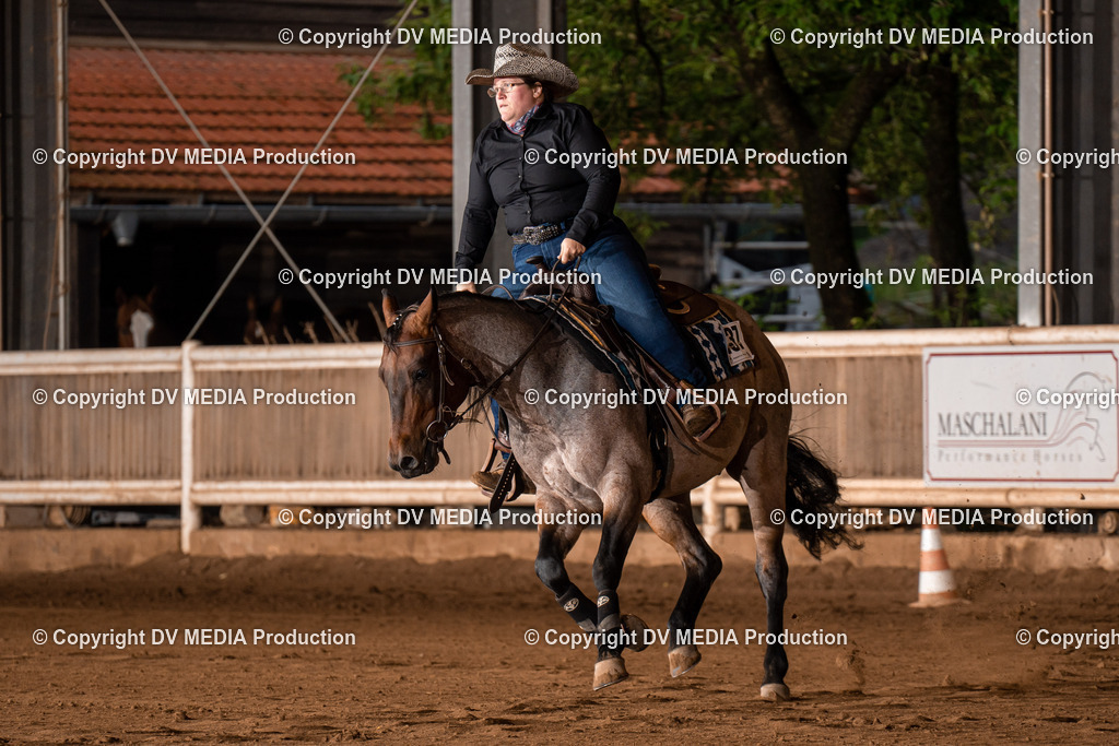 Erbach Tag 3-929 | dv-media-shop - Realisiert mit Pictrs.com