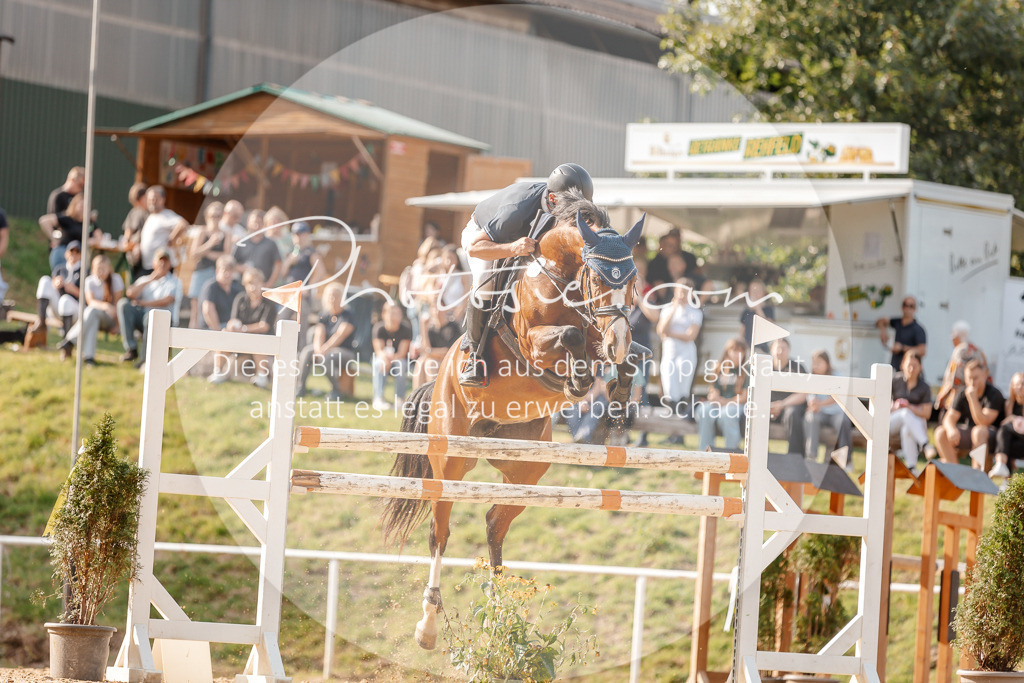 3I6A4954 | Stimmungsvolle Portraits und Reitsportfotografie im Ruhrgebiet und im Münsterland.

Pferdefotografie, Hundefotografie, Tierfotografie, Reportagen, Portraits von Tier und Mensch, Turnierfotografie in Bochum, Recklinghausen, Marl, Haltern am See, Dülmen.. - Realisiert mit Pictrs.com