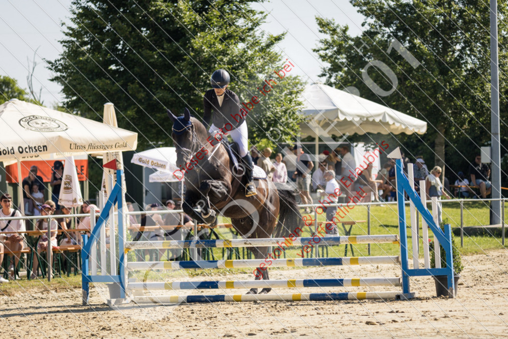IMG_2720 | Sport-, Event- und Tierfotos in Profiqualität. Einfach auswählen, bestellen und herunterladen. Dein Moment – perfekt festgehalten.