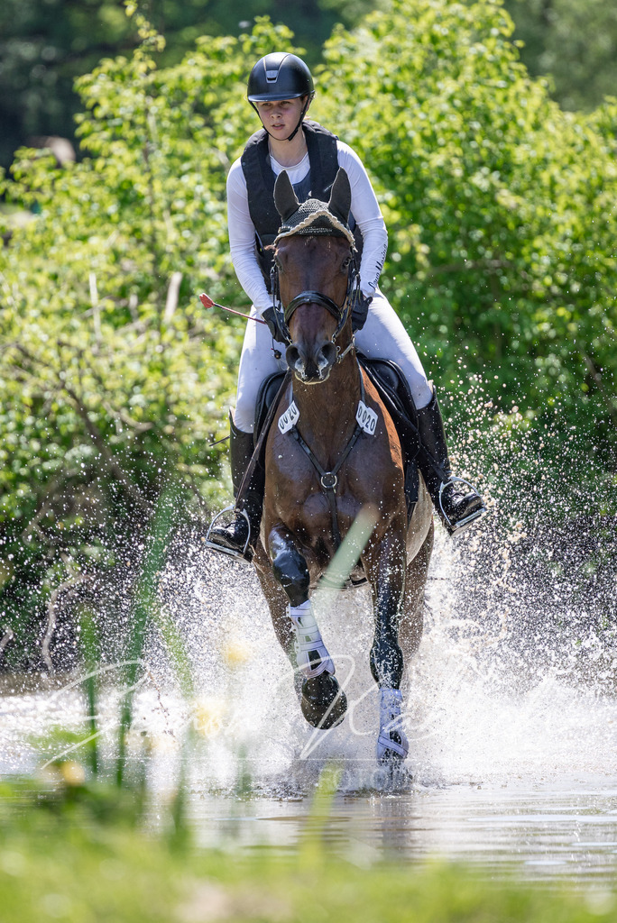 20260523-_3LI8176 | Tierfotografie Pferde, Hunde, Katzen, Haustiere.
Turnierfotografie Reitturniere, Reiten, Springreiten, Dressur in Hanau, dem Main-Kinzig-Kreis und dem Rhein-Main- Gebiet um Frankfurt