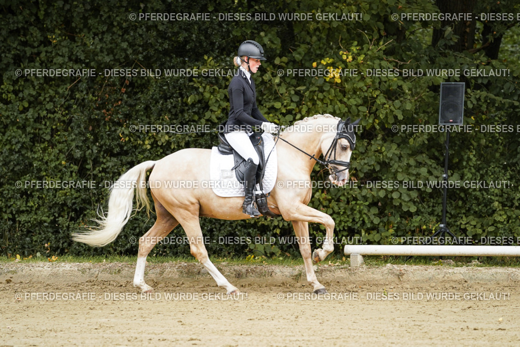 DSC08586 | Pferdegrafie