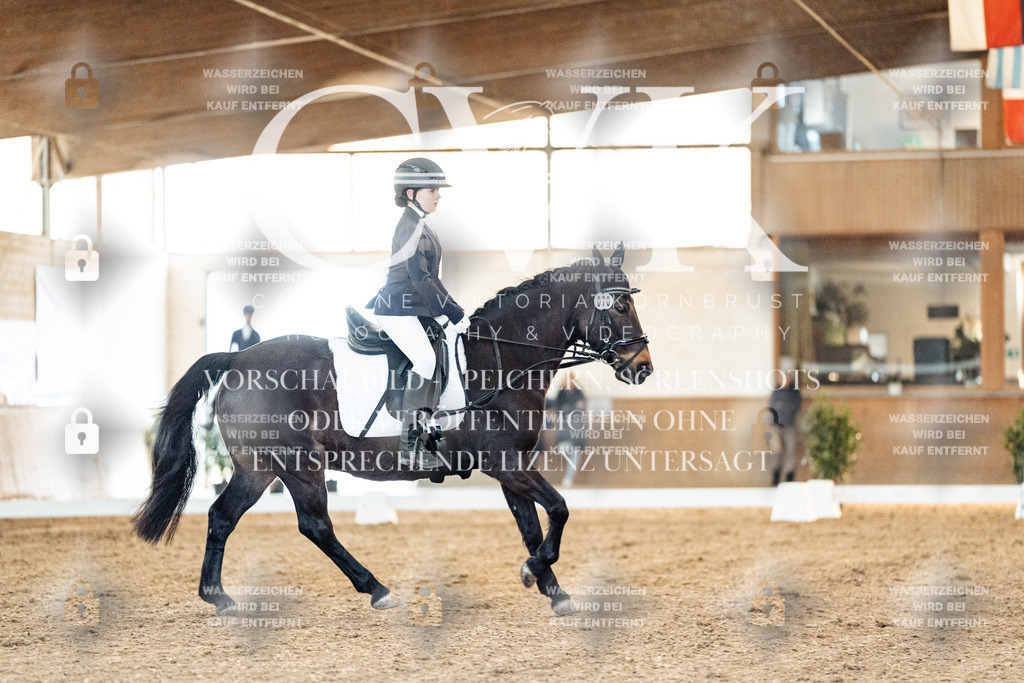 CK906728 | Turnierfotografie Pferdefotografie Trier Rheinland-Pfalz Pferdesport Reitsport Tierfotografie Sportfotografie Pferdevideo Pferdevideografie Equestrianvideography equestrianphotography  - Realisiert mit Pictrs.com