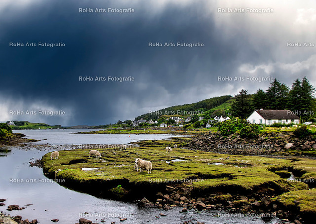 000080-14072017-105458_Schottland | Im Foto-Shop von RoHa Arts Fotografie können Sie verschiedene Fotos und Fotoprodukte kaufen. - Realisiert mit Pictrs.com
