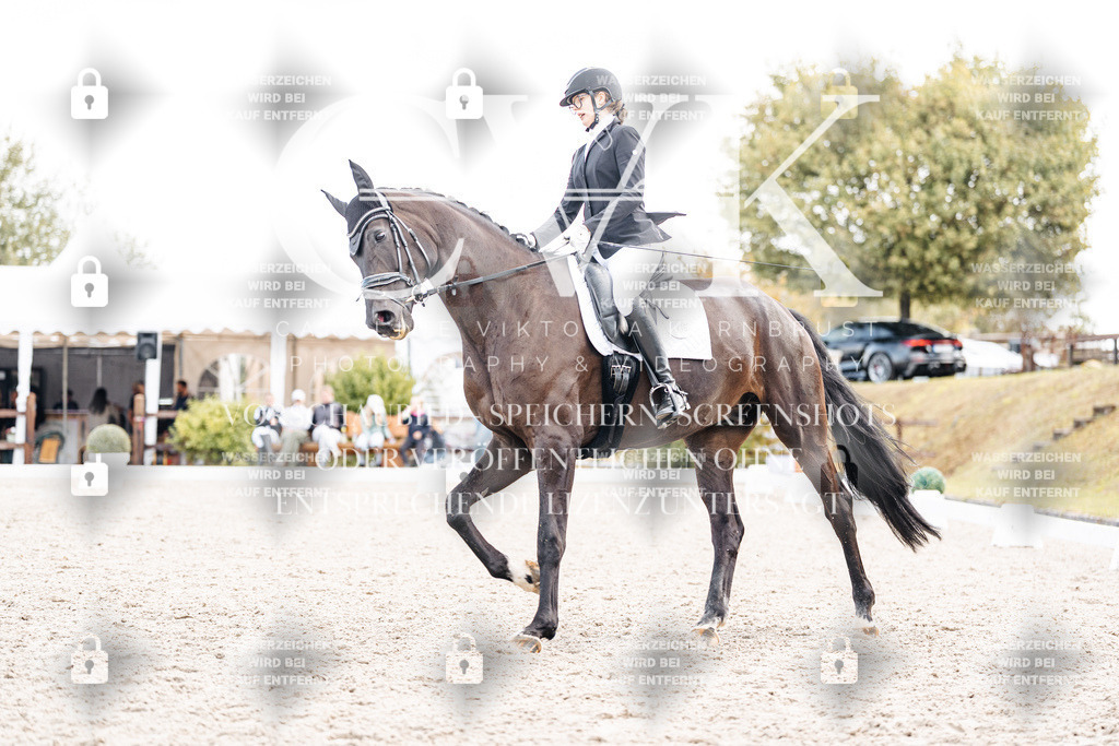 CK901763 | Turnierfotografie Pferdefotografie Trier Rheinland-Pfalz Pferdesport Reitsport Tierfotografie Sportfotografie Pferdevideo Pferdevideografie Equestrianvideography equestrianphotography  - Realisiert mit Pictrs.com