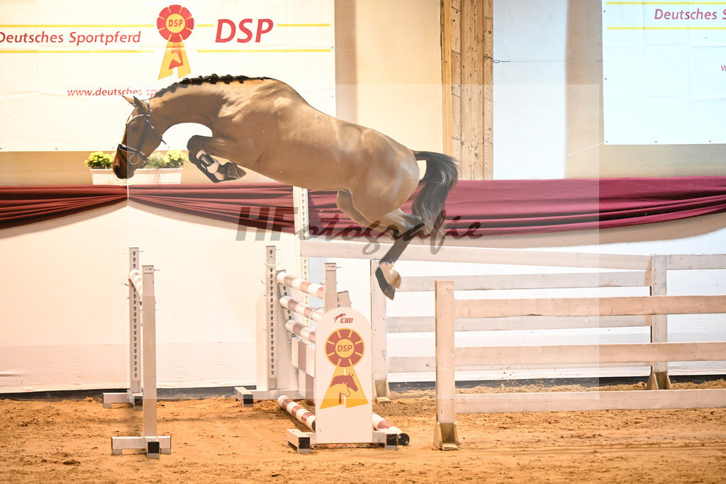 Kat-Nr. 46 v. Poker de Mariposa_Beckmann_66221267 | hf-fotografie - Realizzato con Pictrs.com