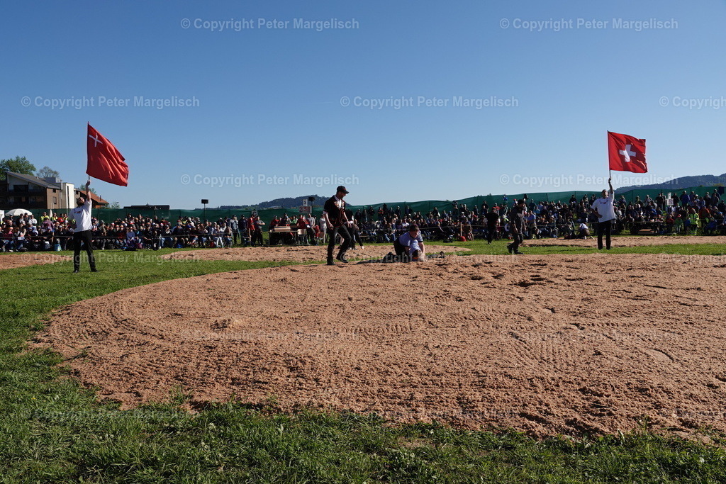 DSC00870 | Schwingen - Realisiert mit Pictrs.com