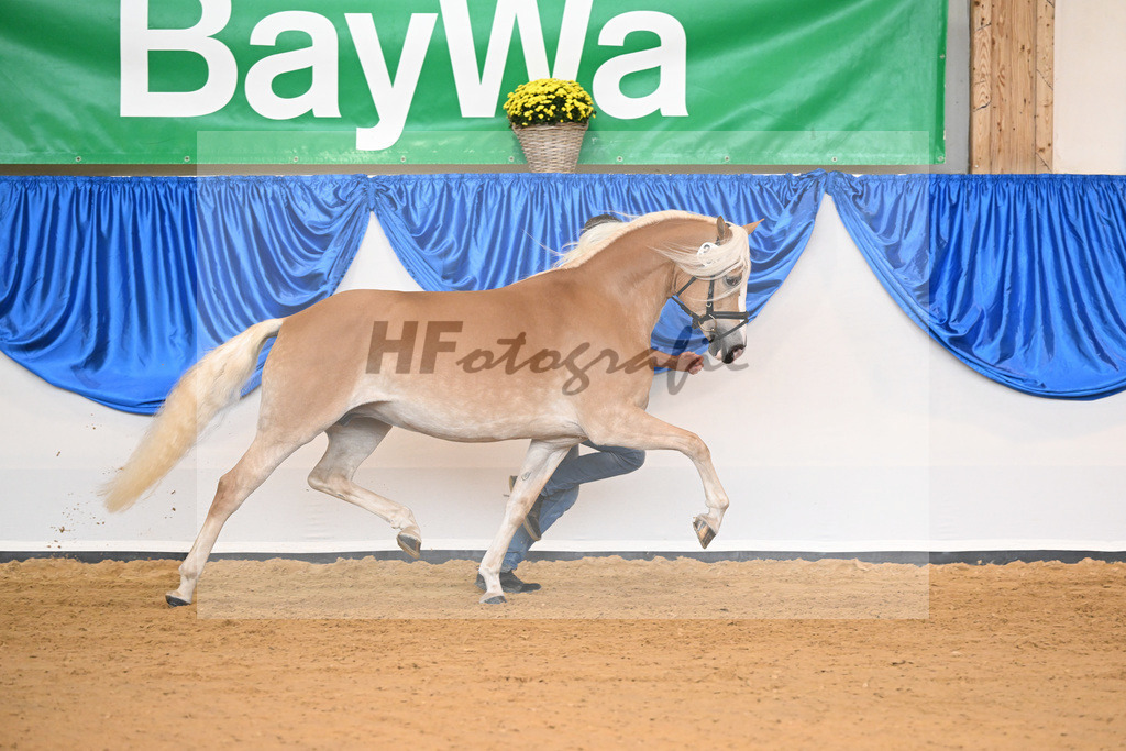 Kat-Nr. 303 Balea_Werthmann_54223234 | hf-fotografie - Realisiert mit Pictrs.com