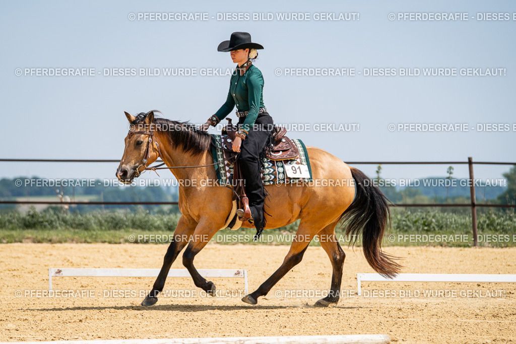 DSC01289 | Pferdegrafie