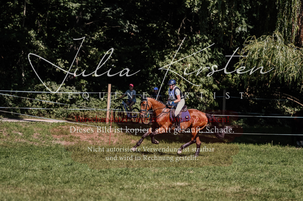 DSC_1978 | Pferde- und Turnierfotografie in Westsachsen. Pferdeportraits, Auftragszeichnungen und intuitive Kunst.