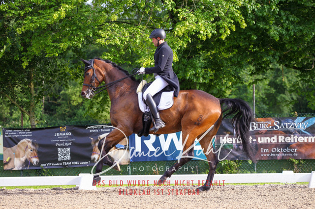 DKP41766 | Turnierfotos kaufen im Webshop von Daniel Kuhl Photography – entdecke professionelle Reitsportfotos aus Turnieren & Events. Hochwertige Turnierbilder online bestellen & sichern. Jetzt Fotos von Reitsportturnieren kaufen!